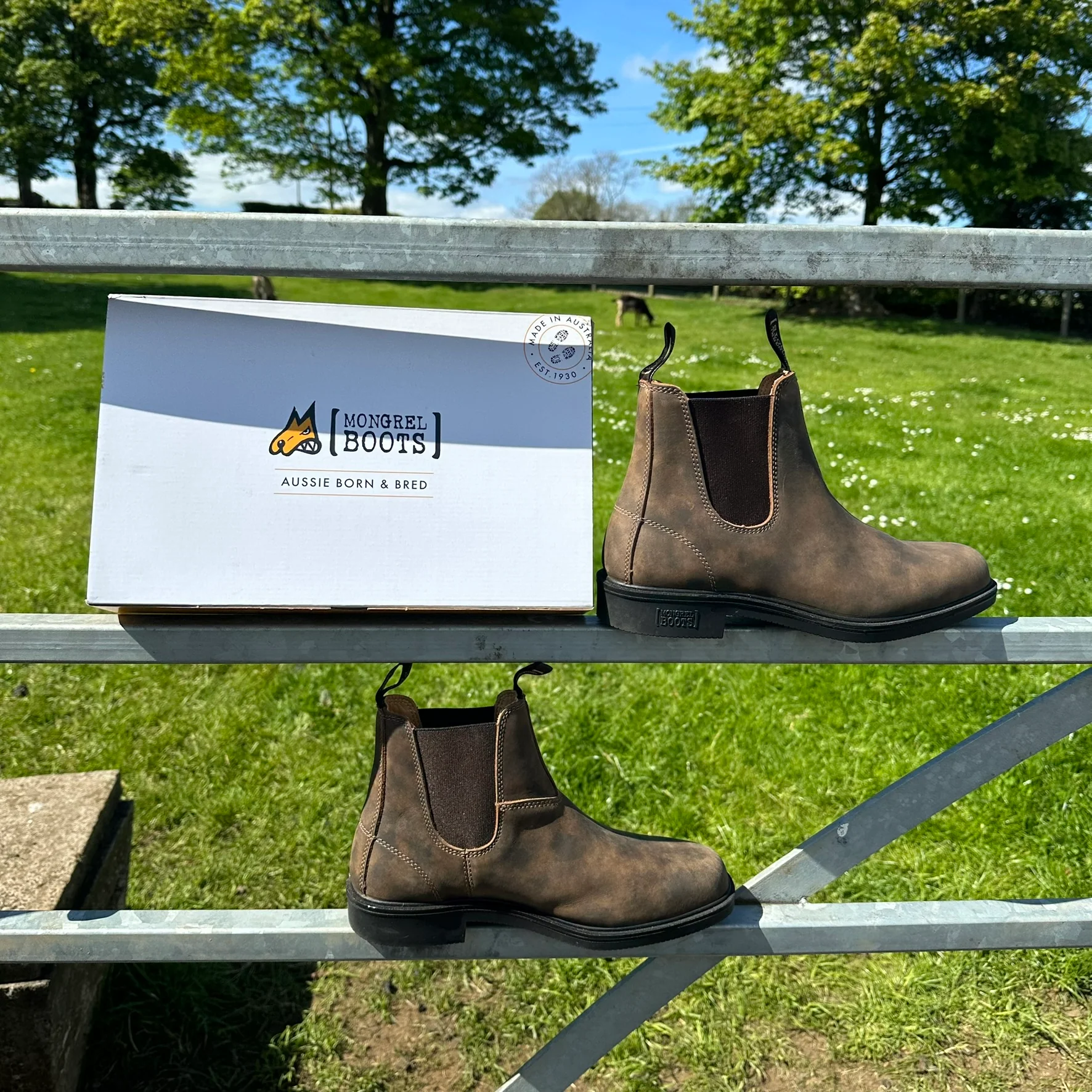 Product image 14